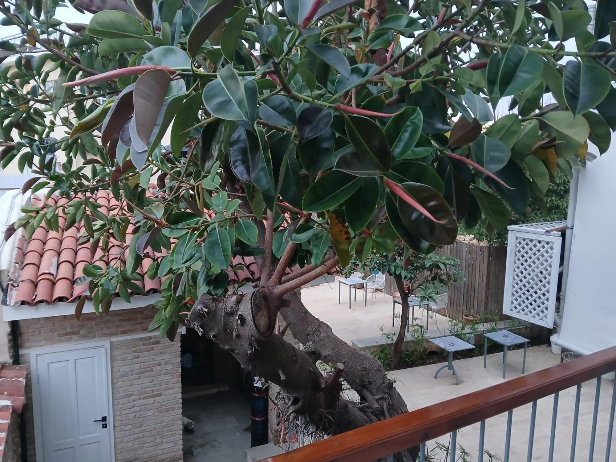House Of Good Things Hotel Antalya Exterior photo